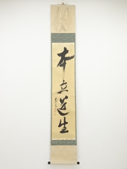 道具 ] - 道具 大徳寺立花大亀筆 「本立道生」一行書 肉筆紙本掛軸（共